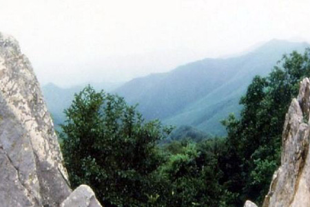 城子山.jpg